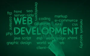 Website Development Pakistan
